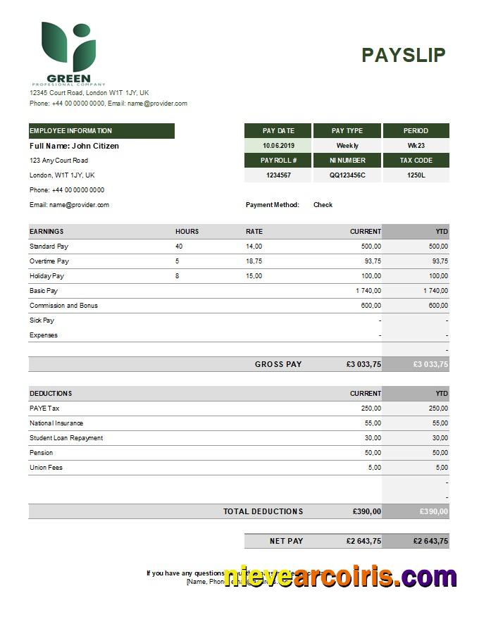 green industry earning statement